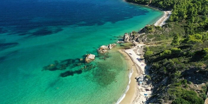 Fava Beach in Sithonia, Greece with turquoise waters, golden sand, and pine forest surroundings