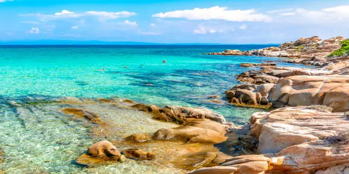 Karidi Beach in Halkidiki, Greece with white sand, turquoise water, and pine tree backdrop