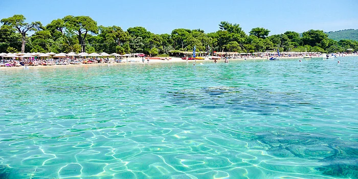 Koukounaries Beach in Skiathos Greece with golden sand, clear blue water and pine forest backdrop