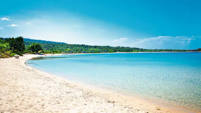 Paliouri Beach in Halkidiki, Greece with golden sand, clear water, and pine forest backdrop